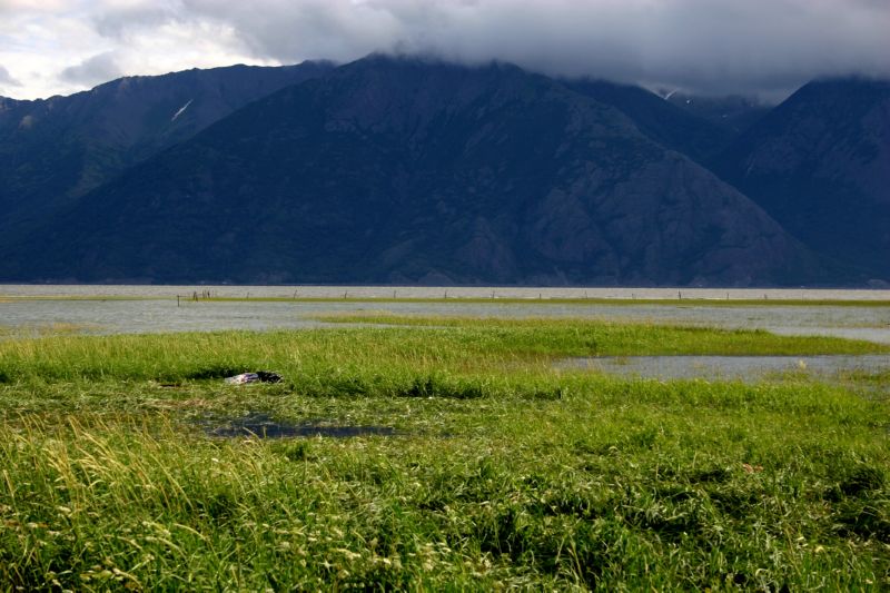 070404 Hope Hatcher Montana Creek (10022)